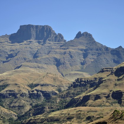Drakensberg and montane grassland