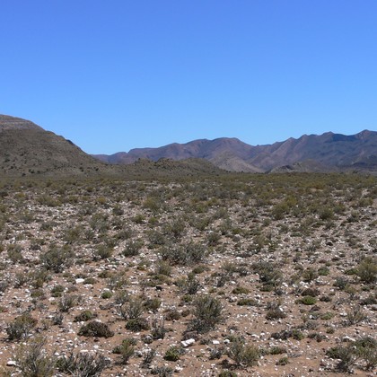 Nama Karoo