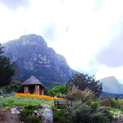 Gardens and built-up land